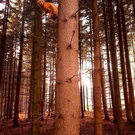 Stare Hute, Novohradske Hory Horní Stropnice