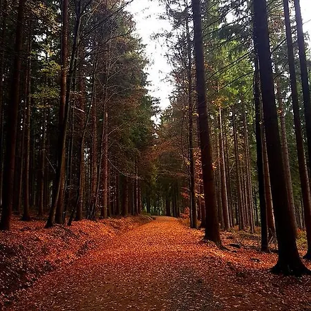 Landsted Stare Hute, Novohradske Hory Horní Stropnice