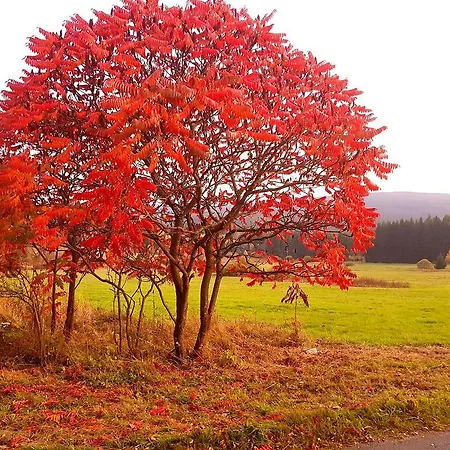 Stare Hute, Novohradske Hory カントリーハウス